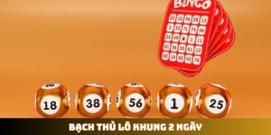 Bạch thủ lô khung 2 ngày