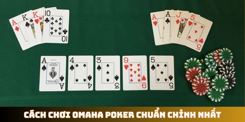 Cách chơi Omaha Poker chuẩn chỉnh nhất