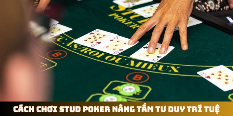 Cách chơi Stud Poker nâng tầm tư duy trí tuệ