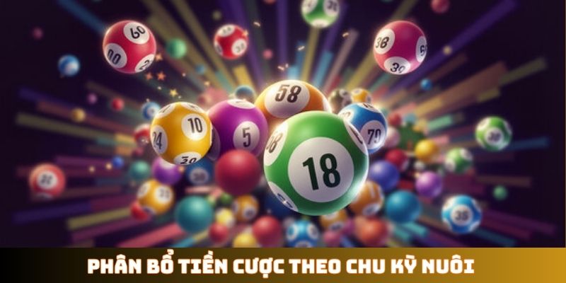 Phân bổ tiền cược theo chu kỳ nuôi