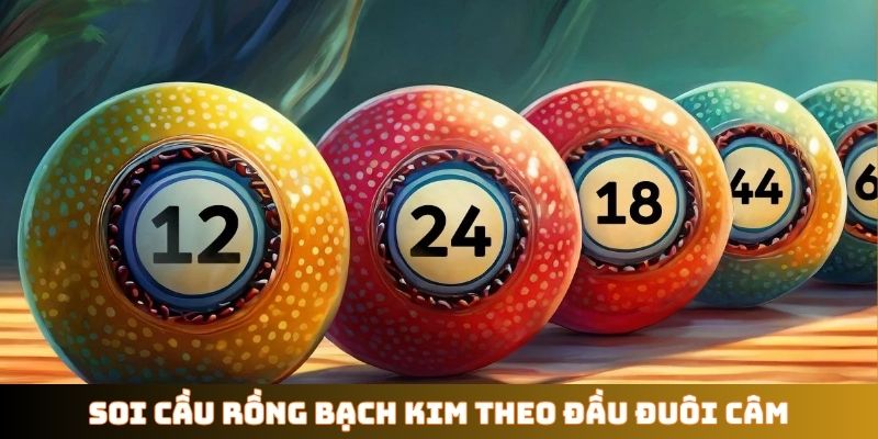 Soi cầu Rồng Bạch Kim theo đầu đuôi câm