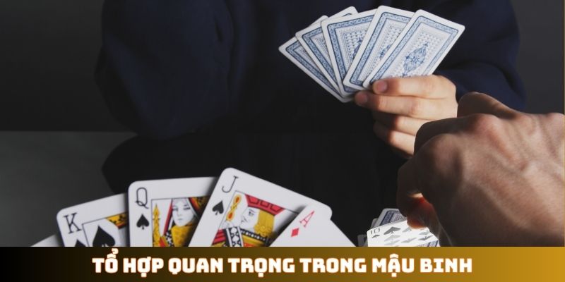 Tổ hợp quan trọng trong Mậu Binh